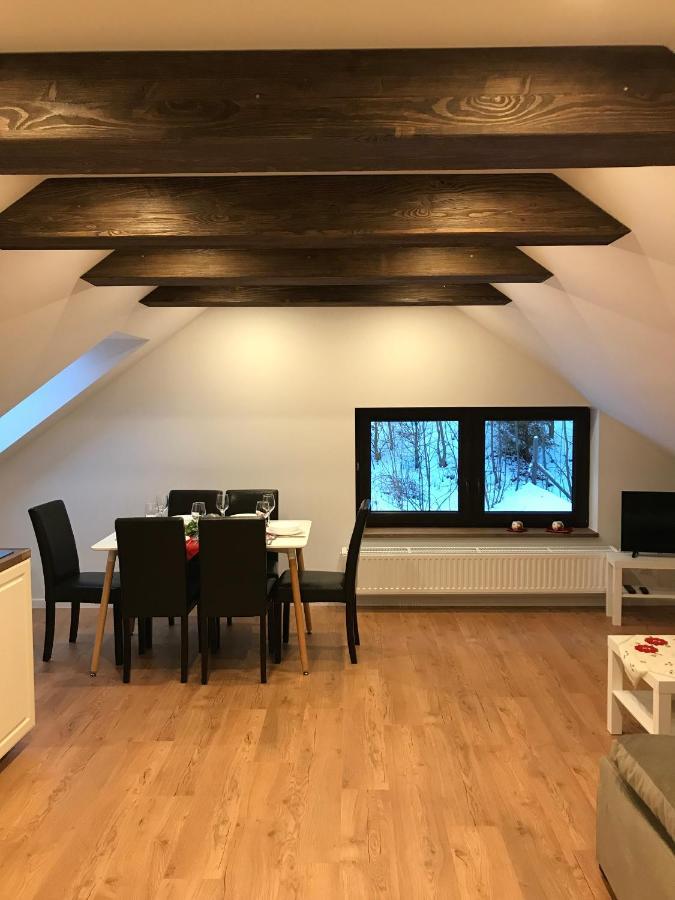 Apartamenty Goszowianka Stronie Śląskie Εξωτερικό φωτογραφία