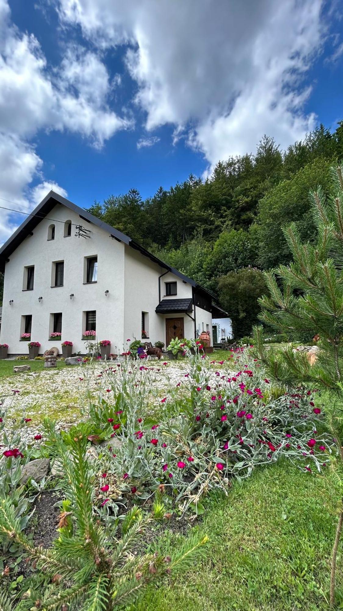 Apartamenty Goszowianka Stronie Śląskie Εξωτερικό φωτογραφία