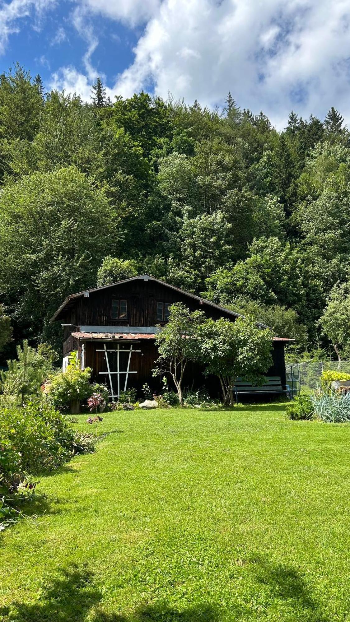 Apartamenty Goszowianka Stronie Śląskie Εξωτερικό φωτογραφία