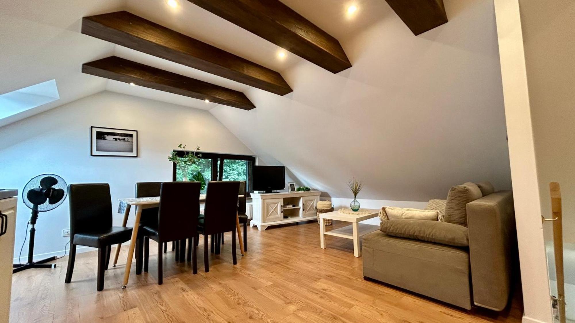 Apartamenty Goszowianka Stronie Śląskie Εξωτερικό φωτογραφία