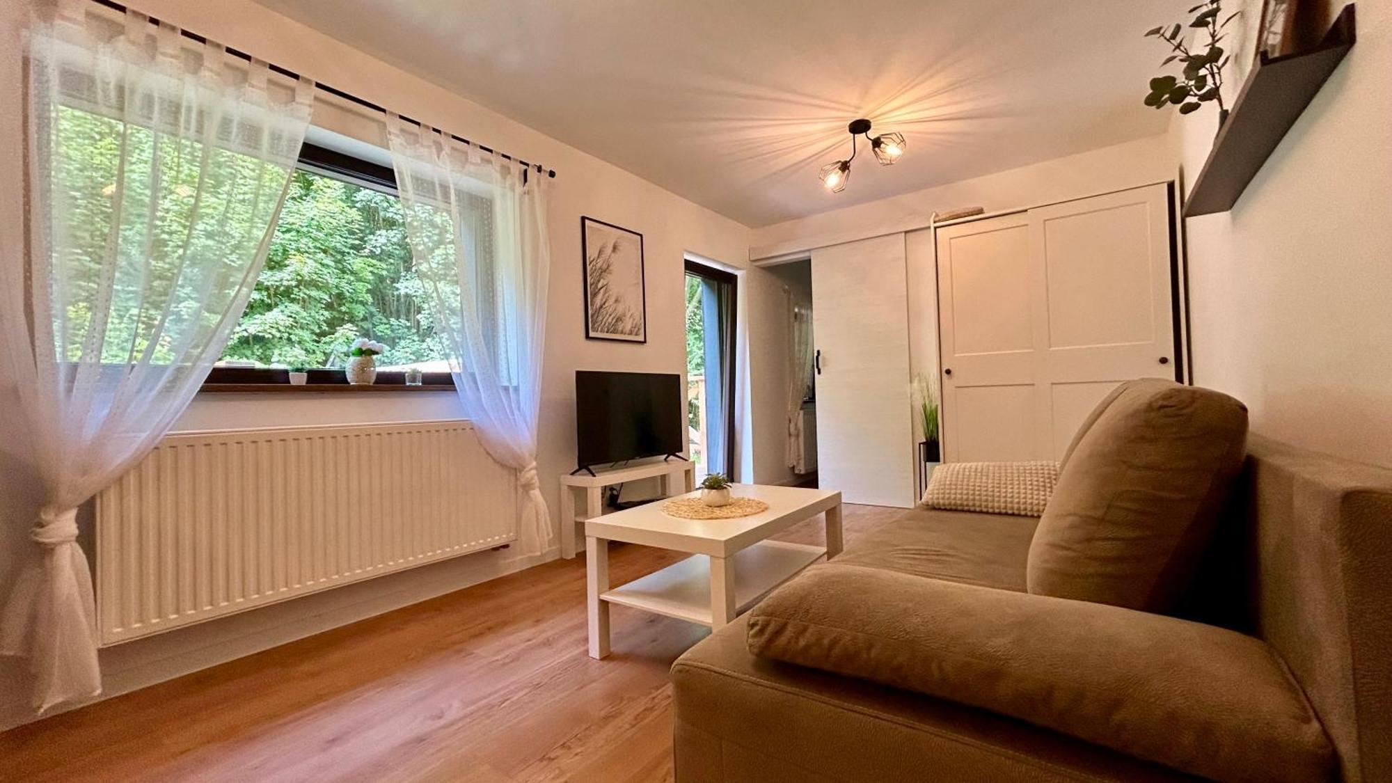 Apartamenty Goszowianka Stronie Śląskie Εξωτερικό φωτογραφία